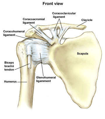 Learn How to Strap a Shoulder the Right Way - SportStrap